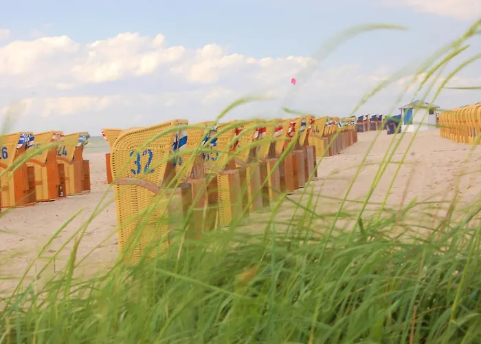 In Mit Terrasse Dom wakacyjny Gressow